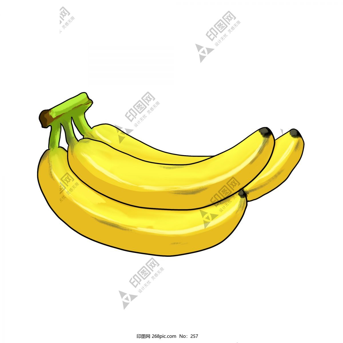 水果香蕉实物果实