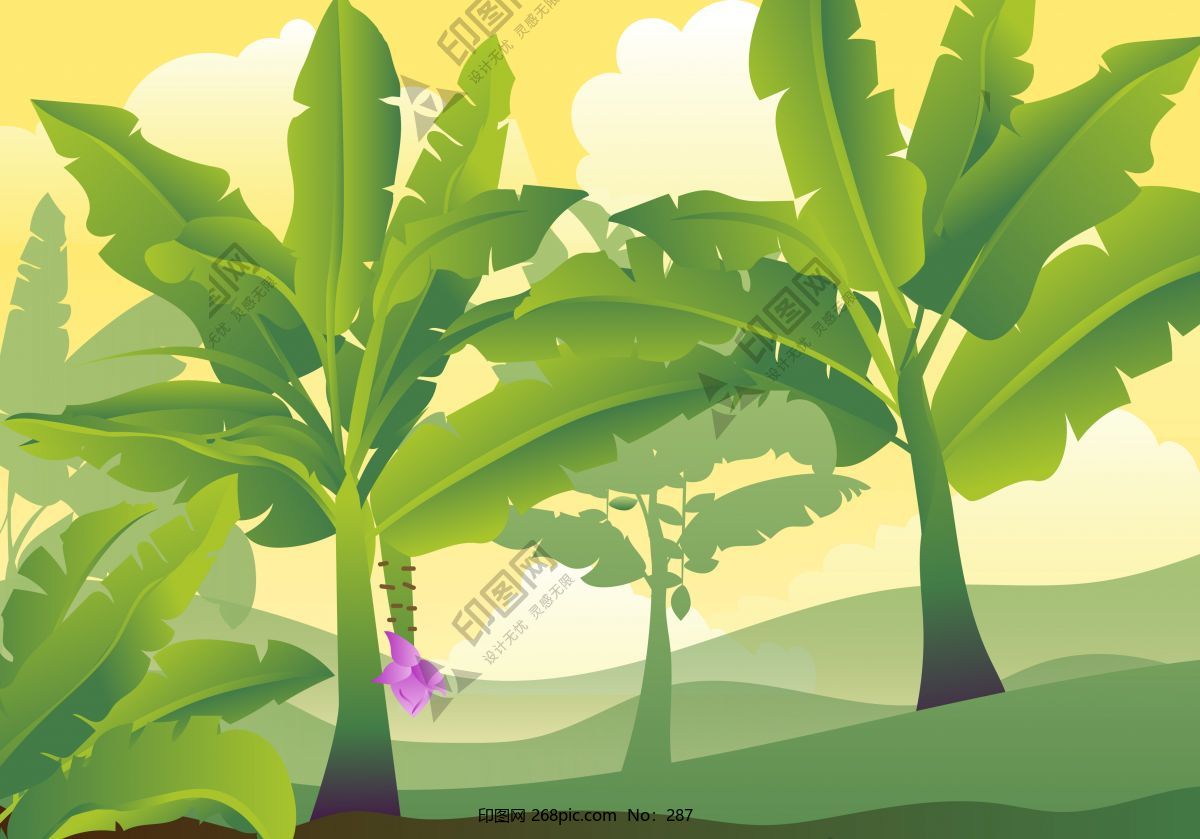 绿叶卡通风格矢量香蕉树