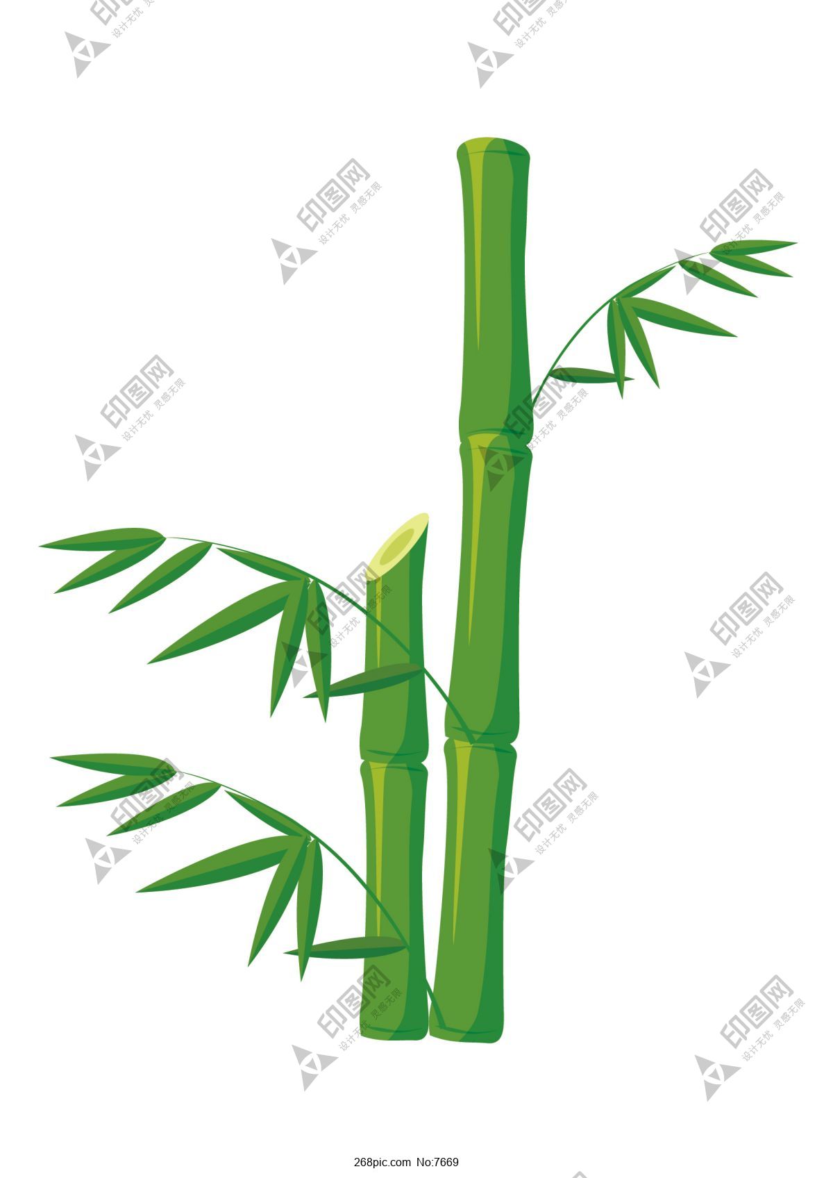 矢量图绿色自然竹子
