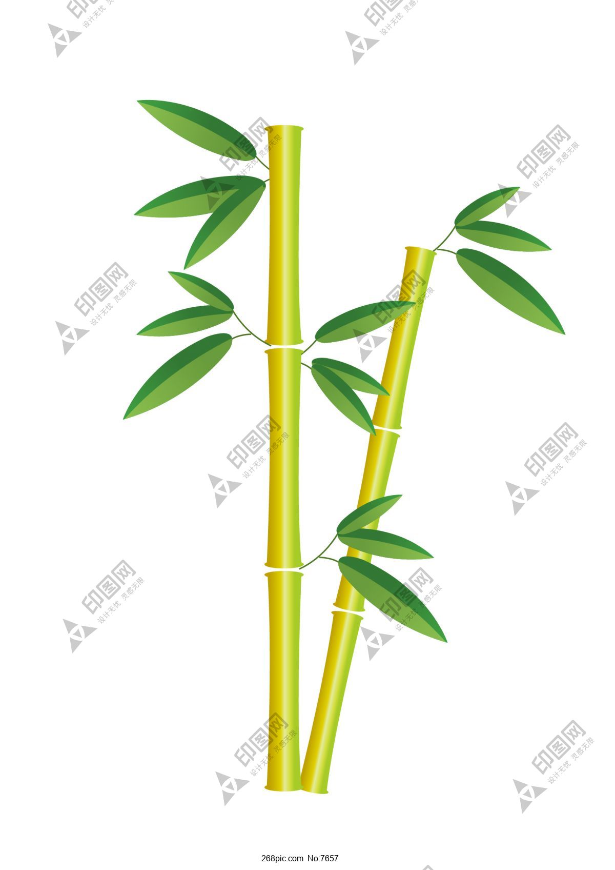 竹子竹葉