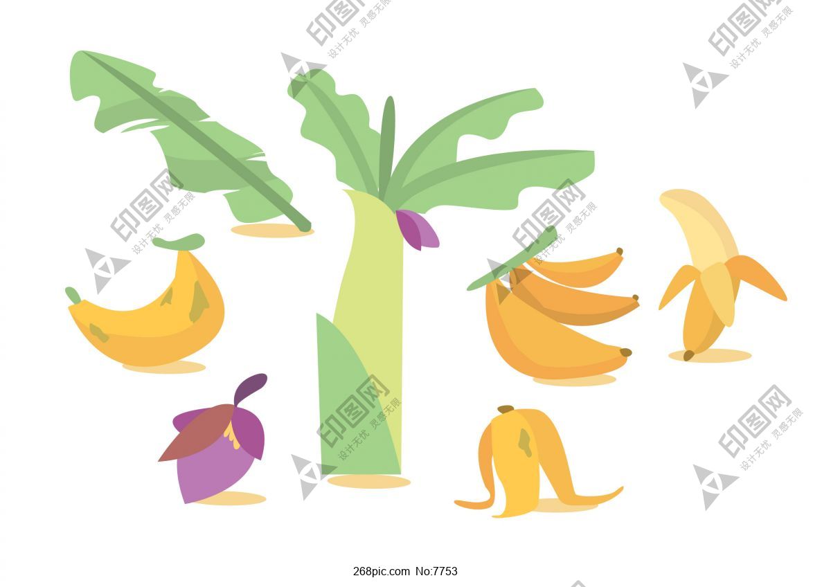 香蕉树矢量高大体积