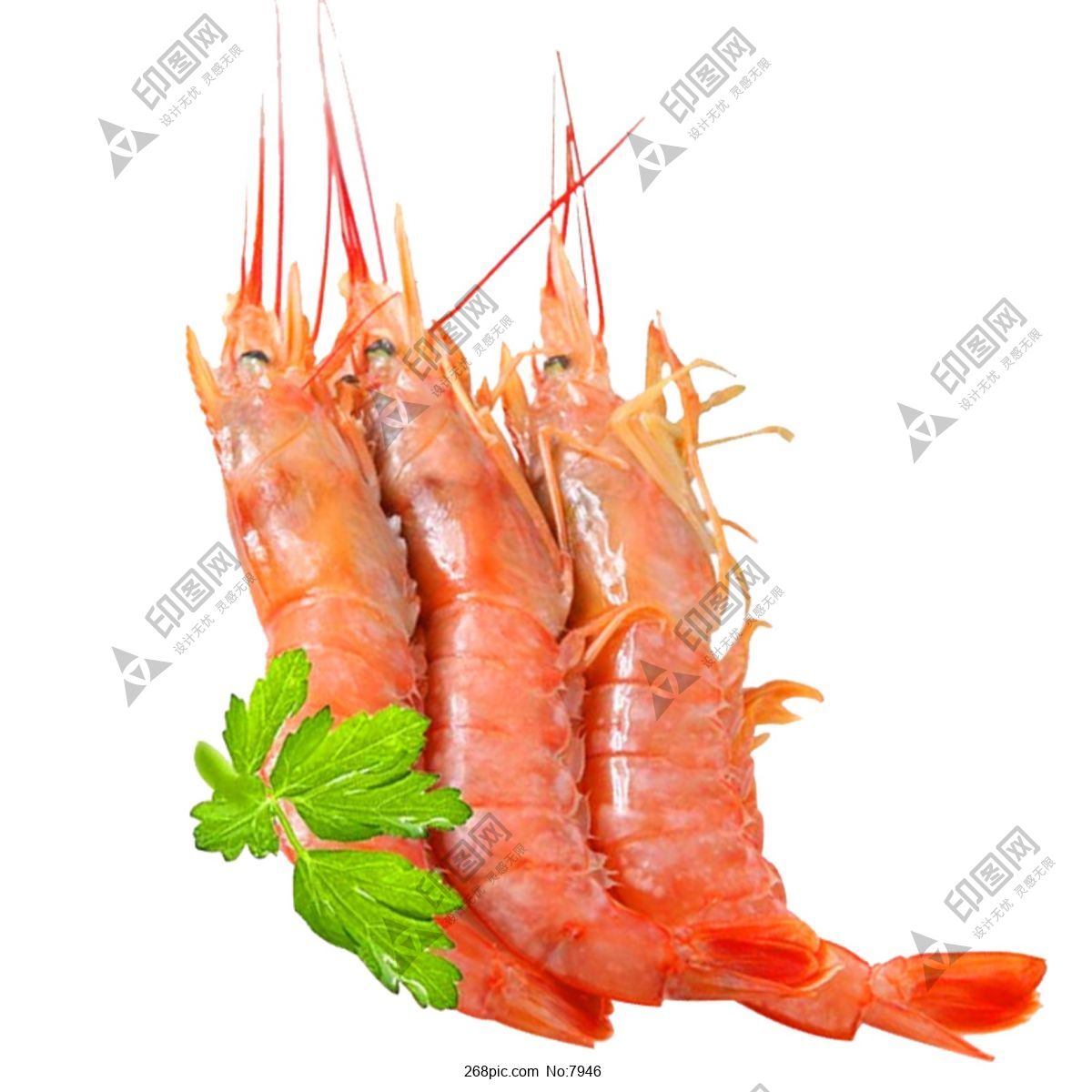 新鮮的美味蝦仁