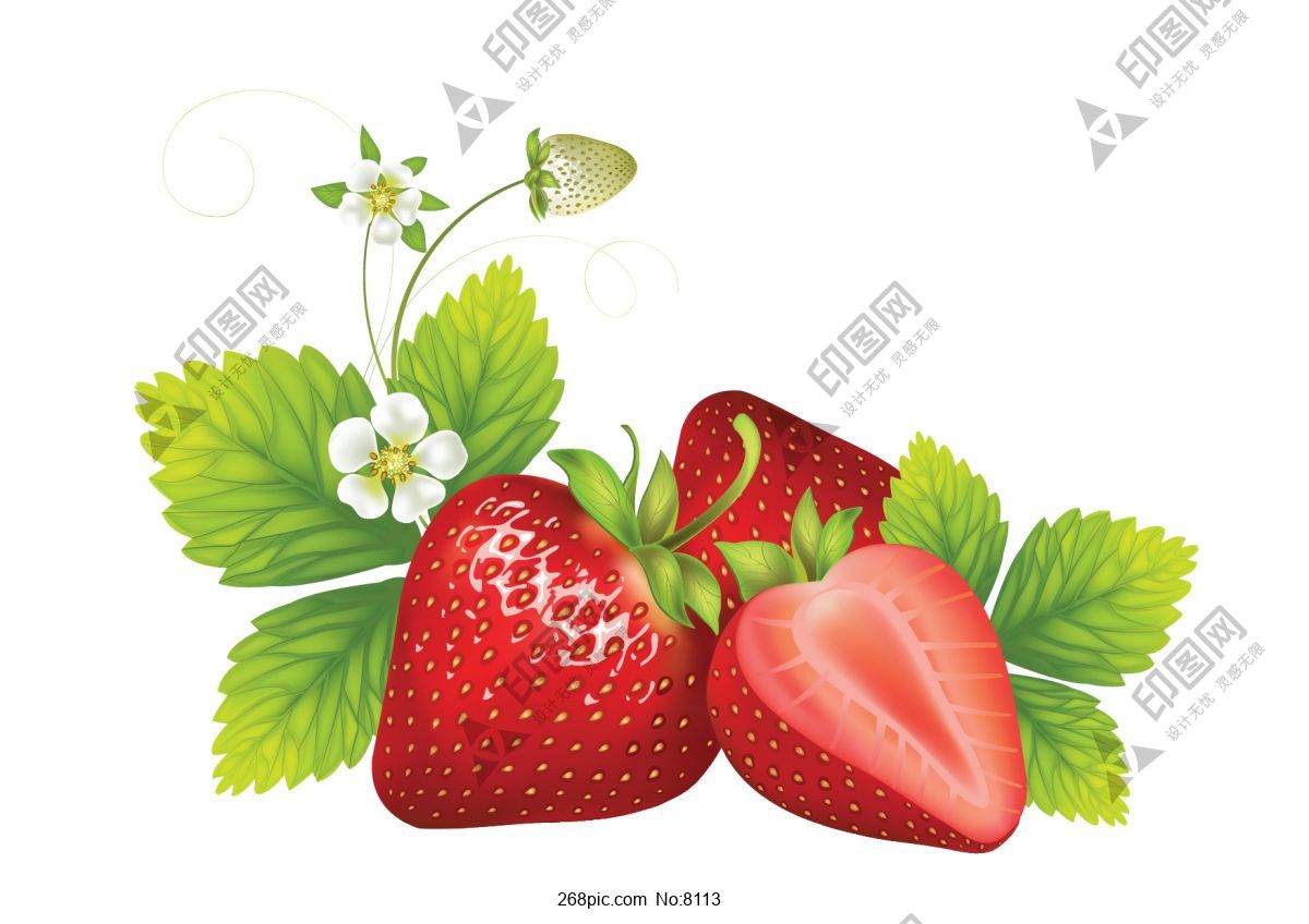 新鲜的草莓矢量免抠素材
