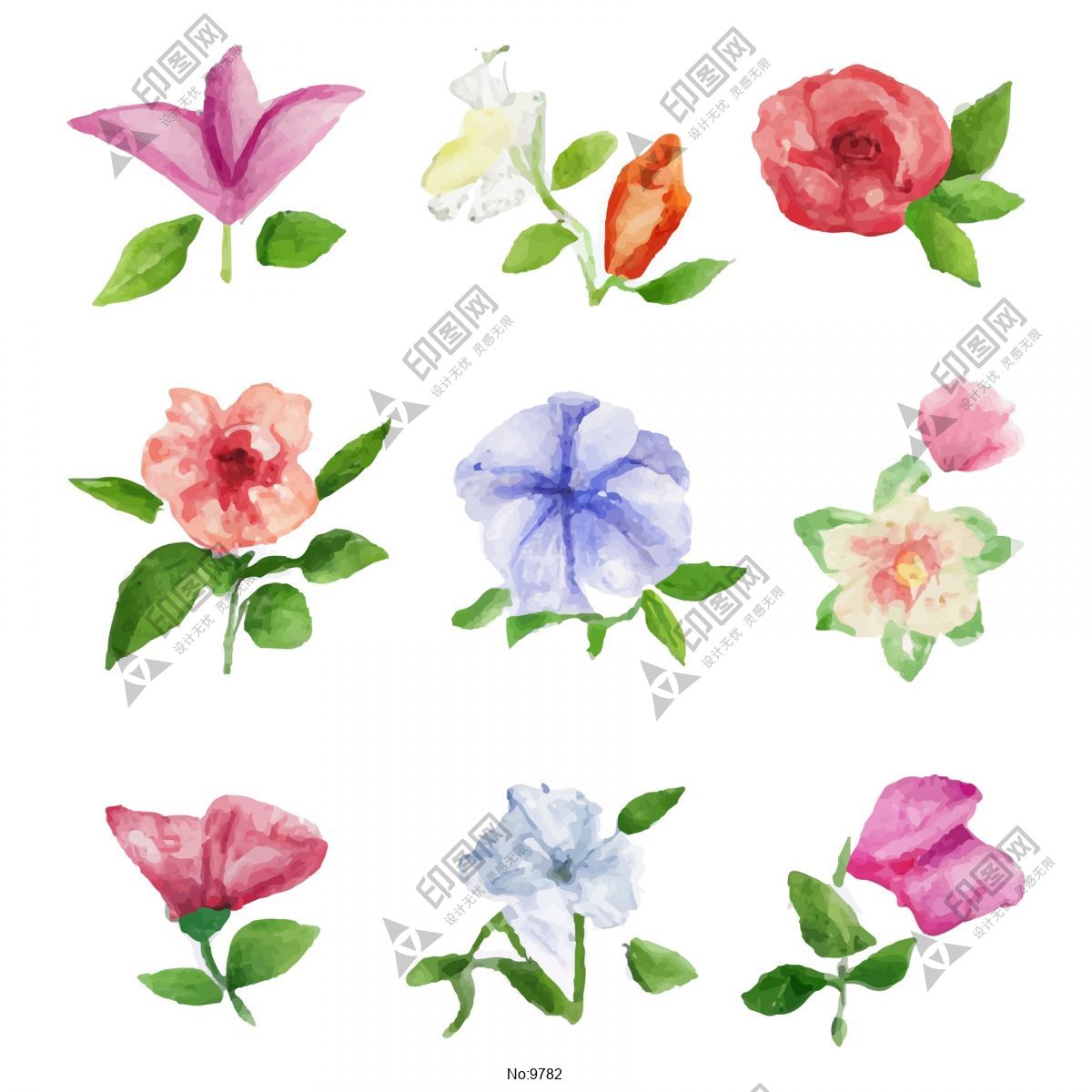 水彩花朵矢量插畫