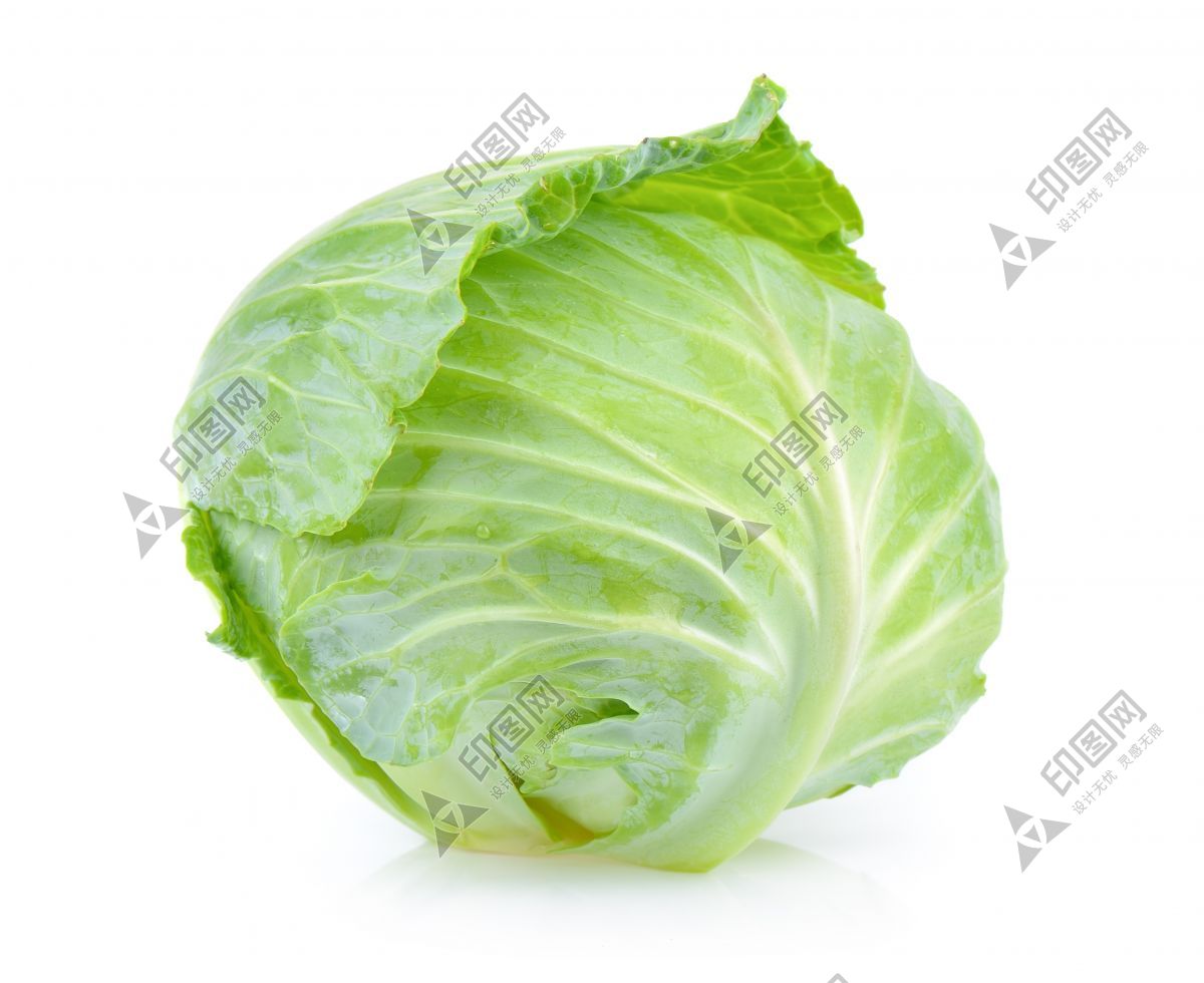 包菜
