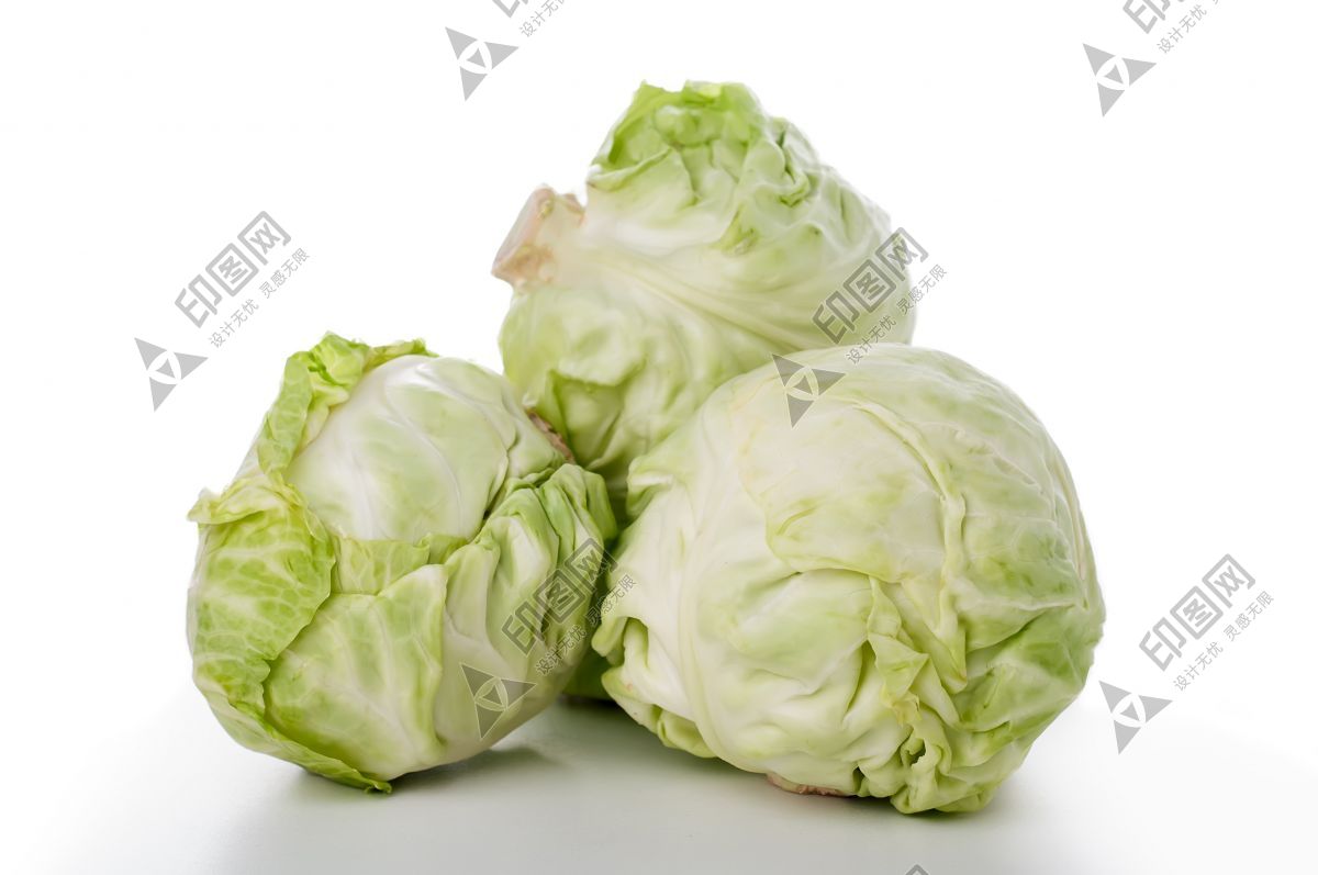 卷心菜