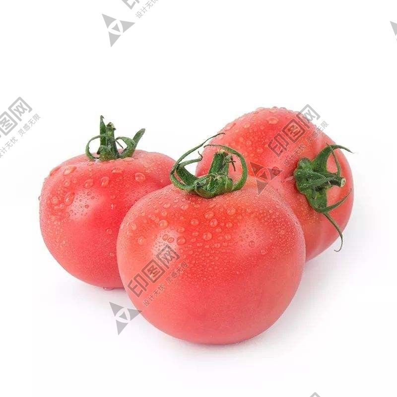 粉番茄