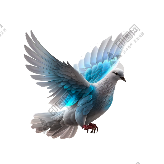 白鴿_和平鴿_鴿子_鳥類_鵓鴿_white_dove