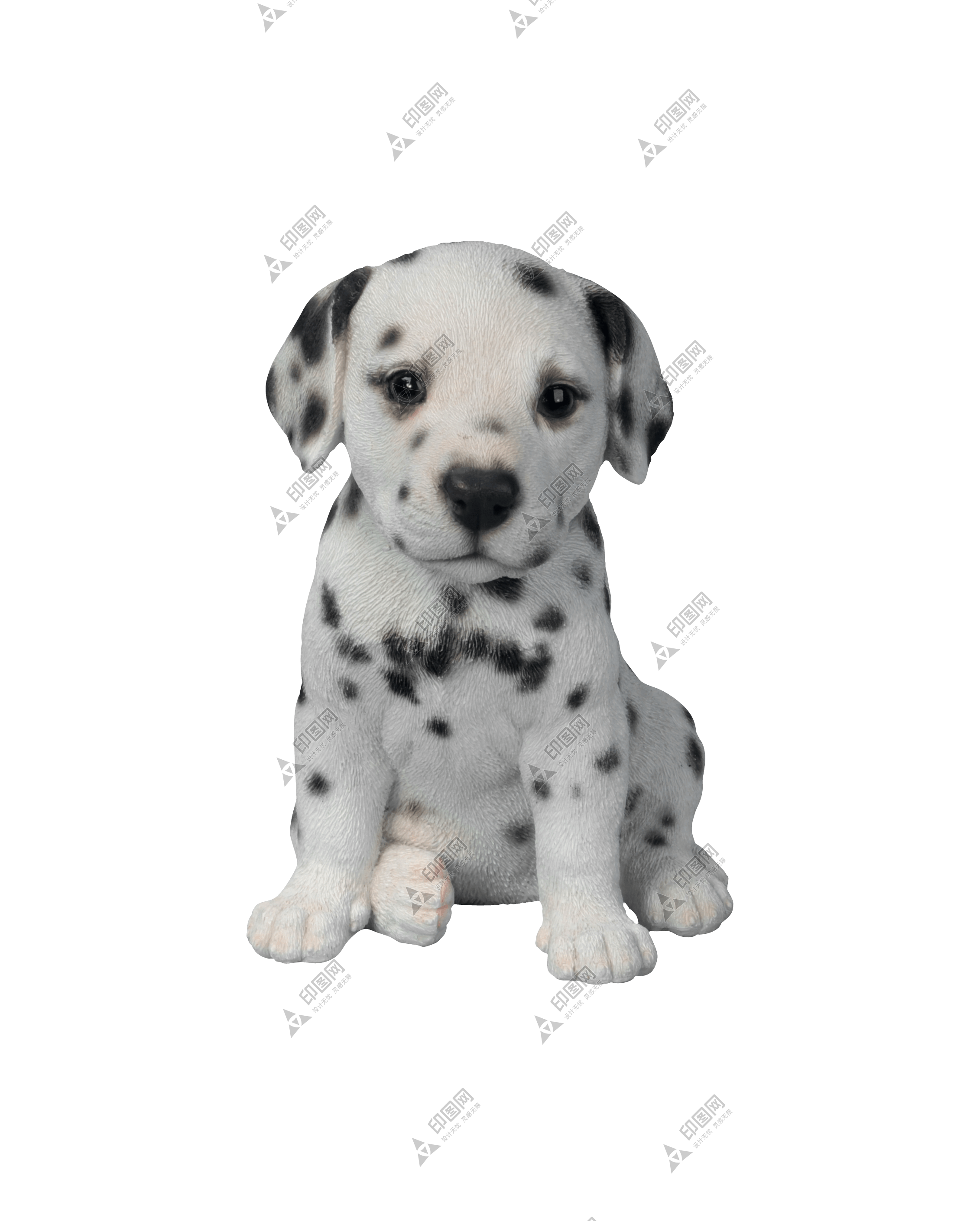 狗_寵物_犬_dog_dog