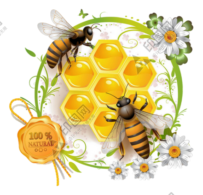 昆蟲_蜜蜂_bee_bee