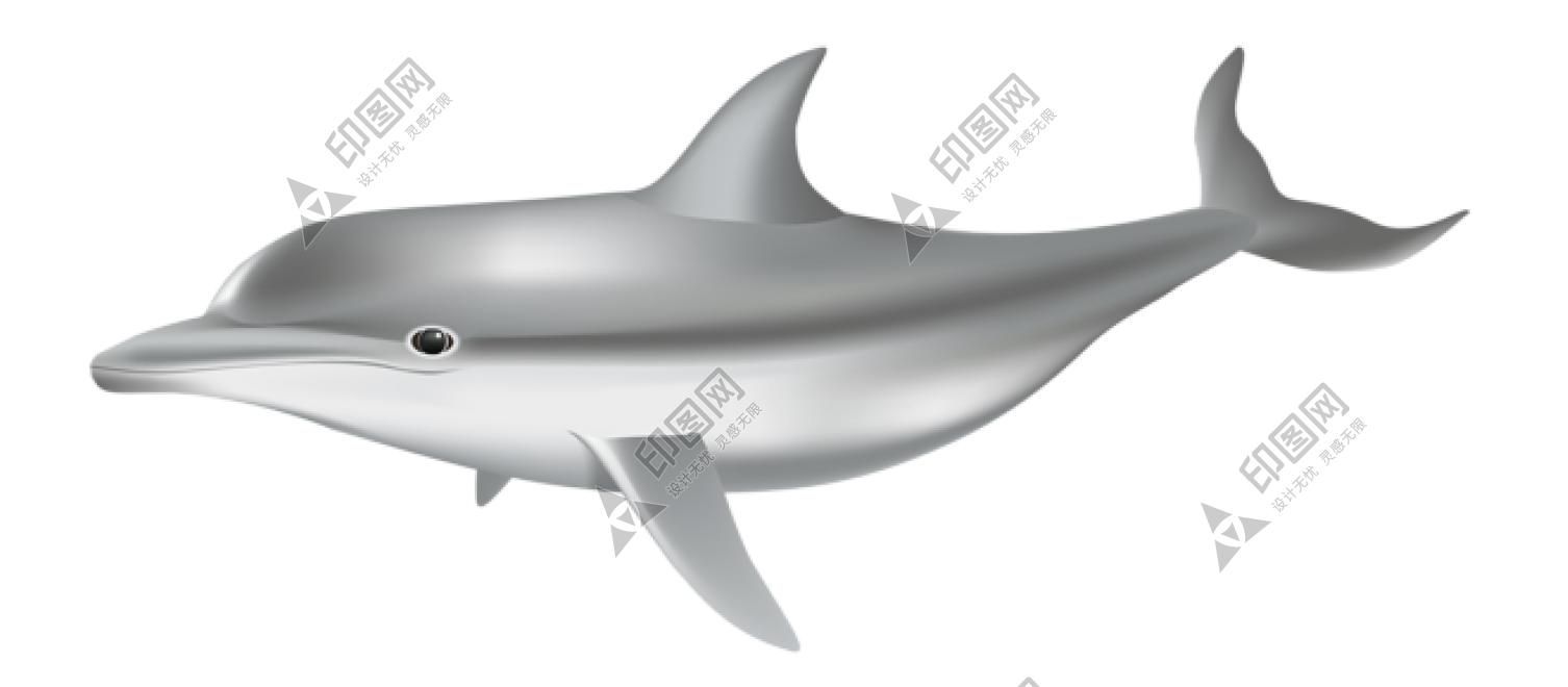 海豚_海豬_dolphin_dolphin