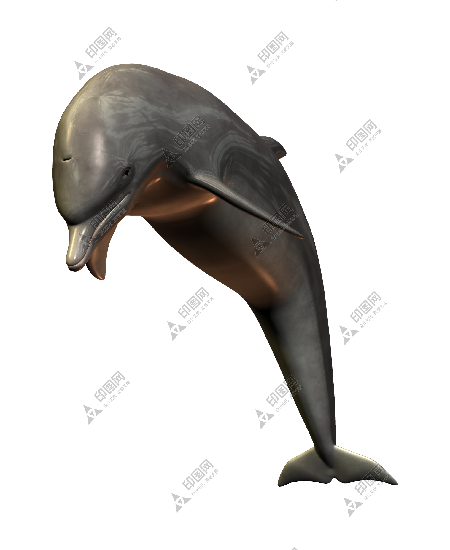 海豚_海豬_dolphin_dolphin