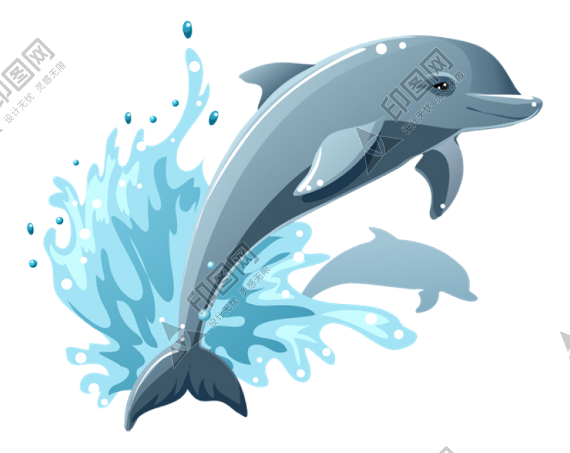 海豚_海豬_dolphin_dolphin