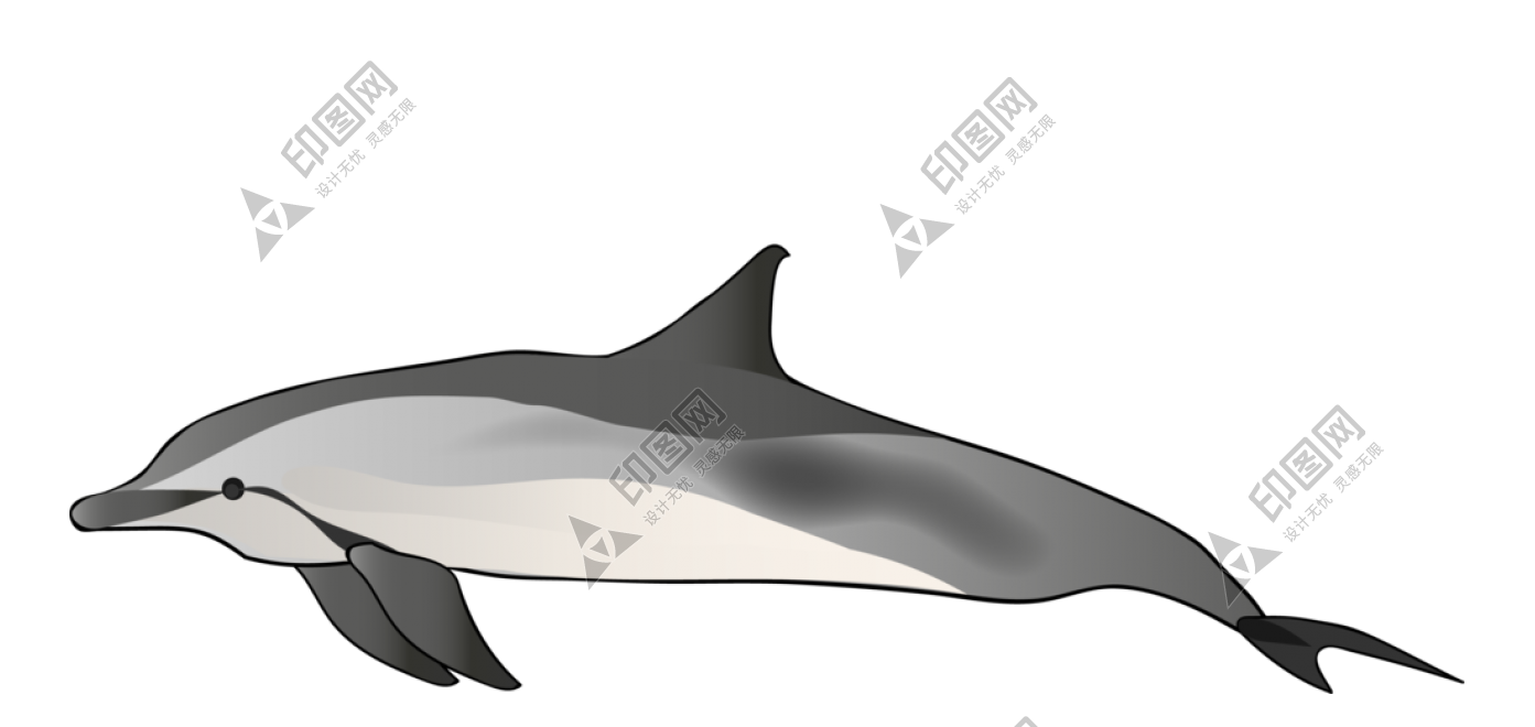 海豚_海豬_dolphin_dolphin