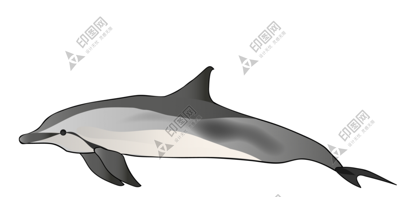 海豚_海猪_dolphin_dolphin