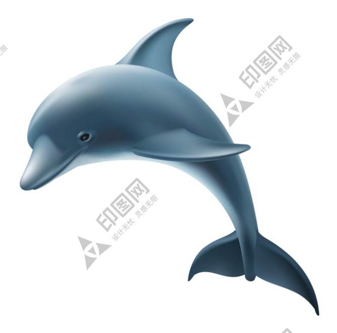 海豚_海豬_dolphin_dolphin