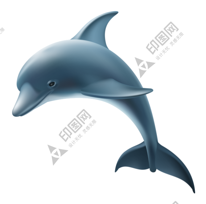 海豚_海猪_dolphin_dolphin