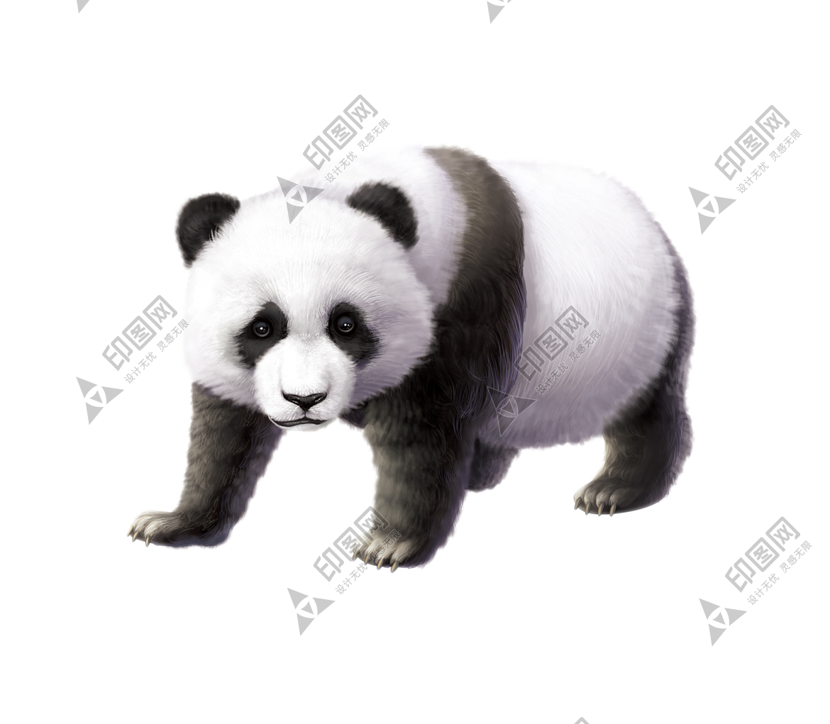 動(dòng)物_1379國寶熊貓 (2)