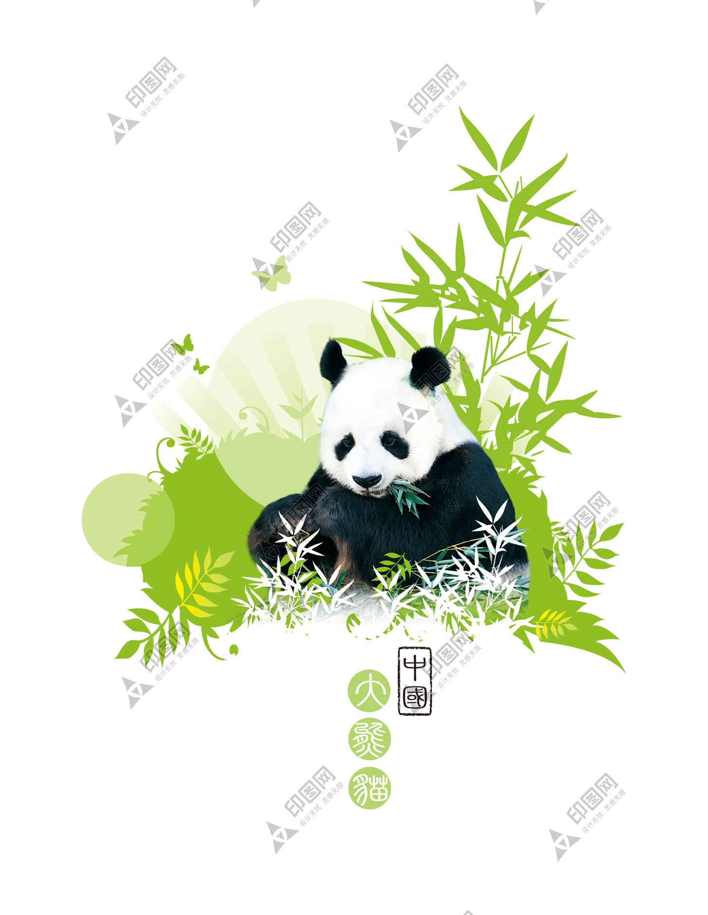 动物_1396中国大熊猫