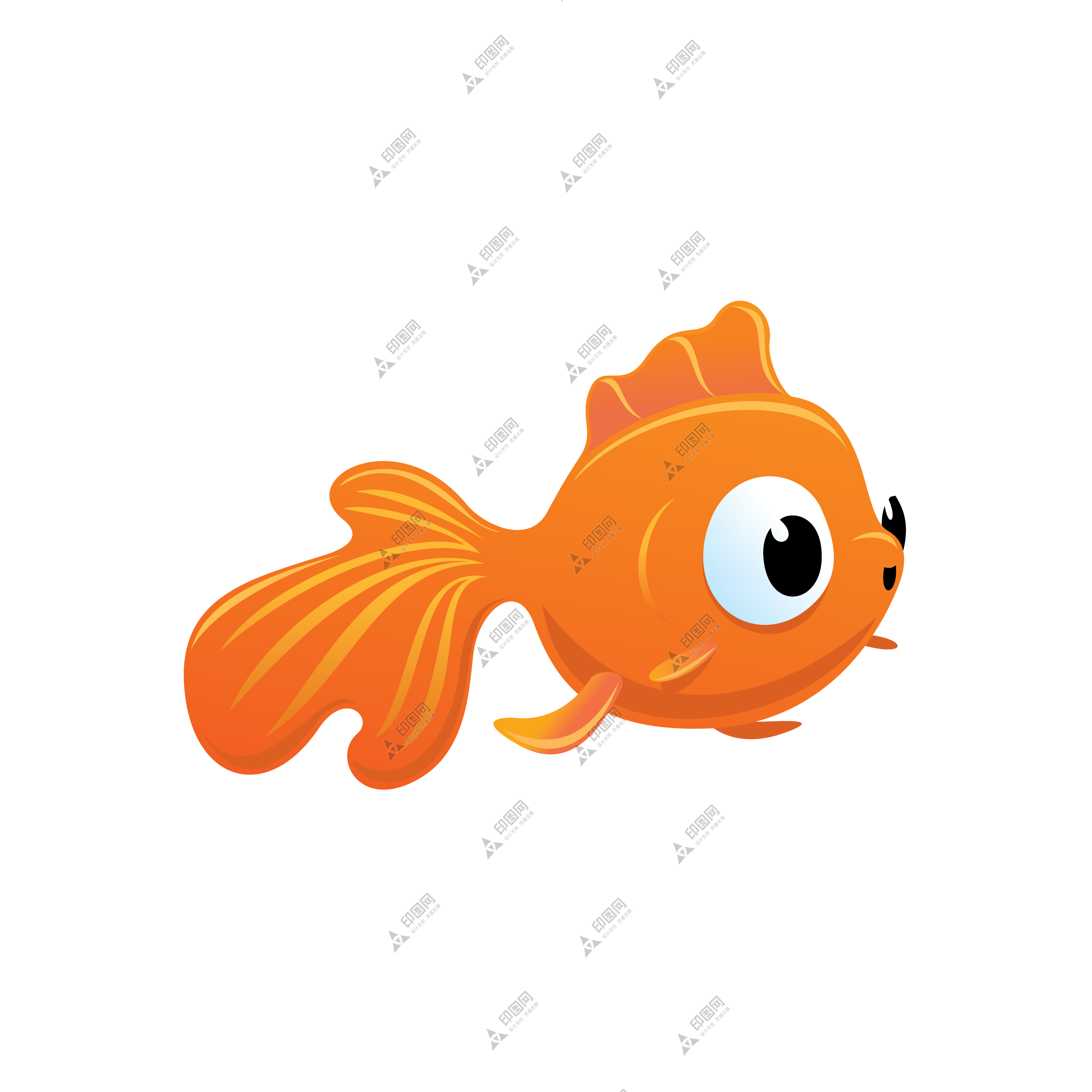 宠物_鱼_水族_金鱼_goldfish_goldfish