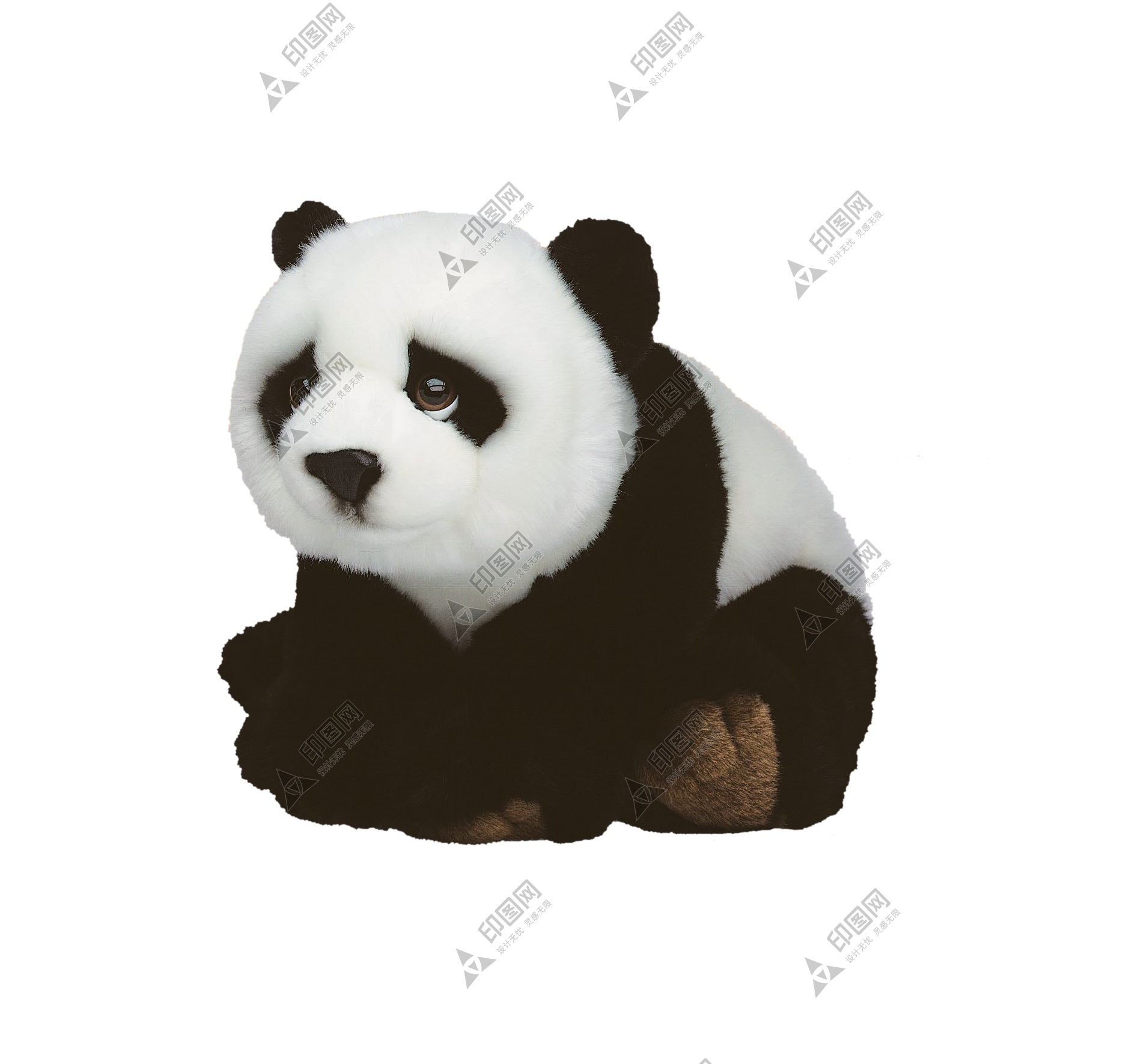 动物_1382小熊猫