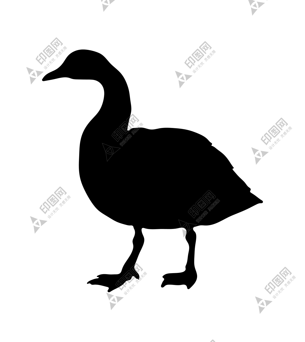 家禽_鵝_家鵝_goose_goose