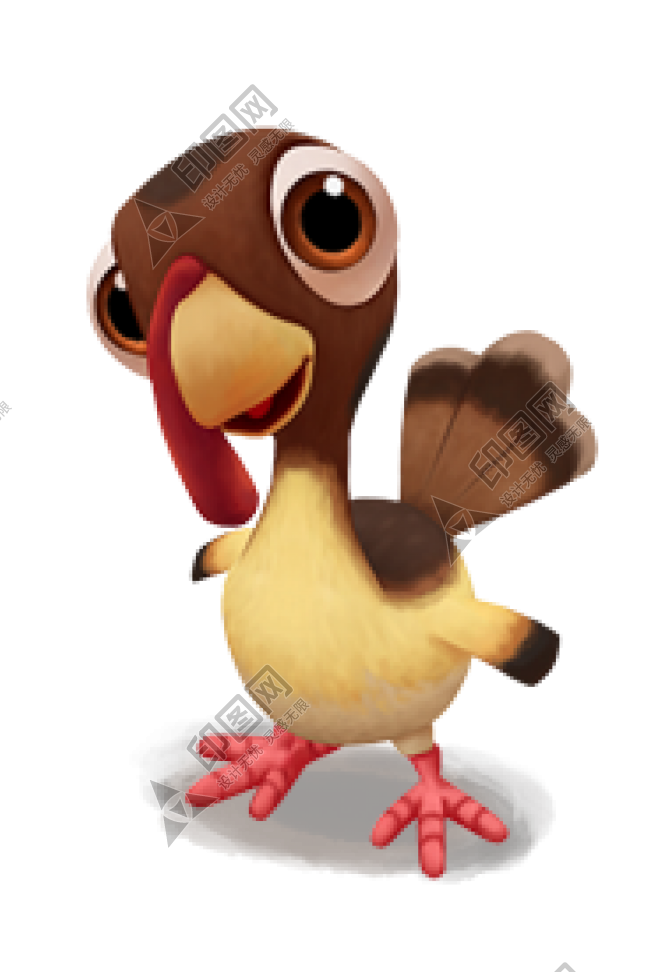 家禽_火雞_吐綬雞_七面雞_turkey_turkey