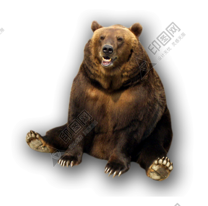 熊_bear_黑熊_棕熊_bear