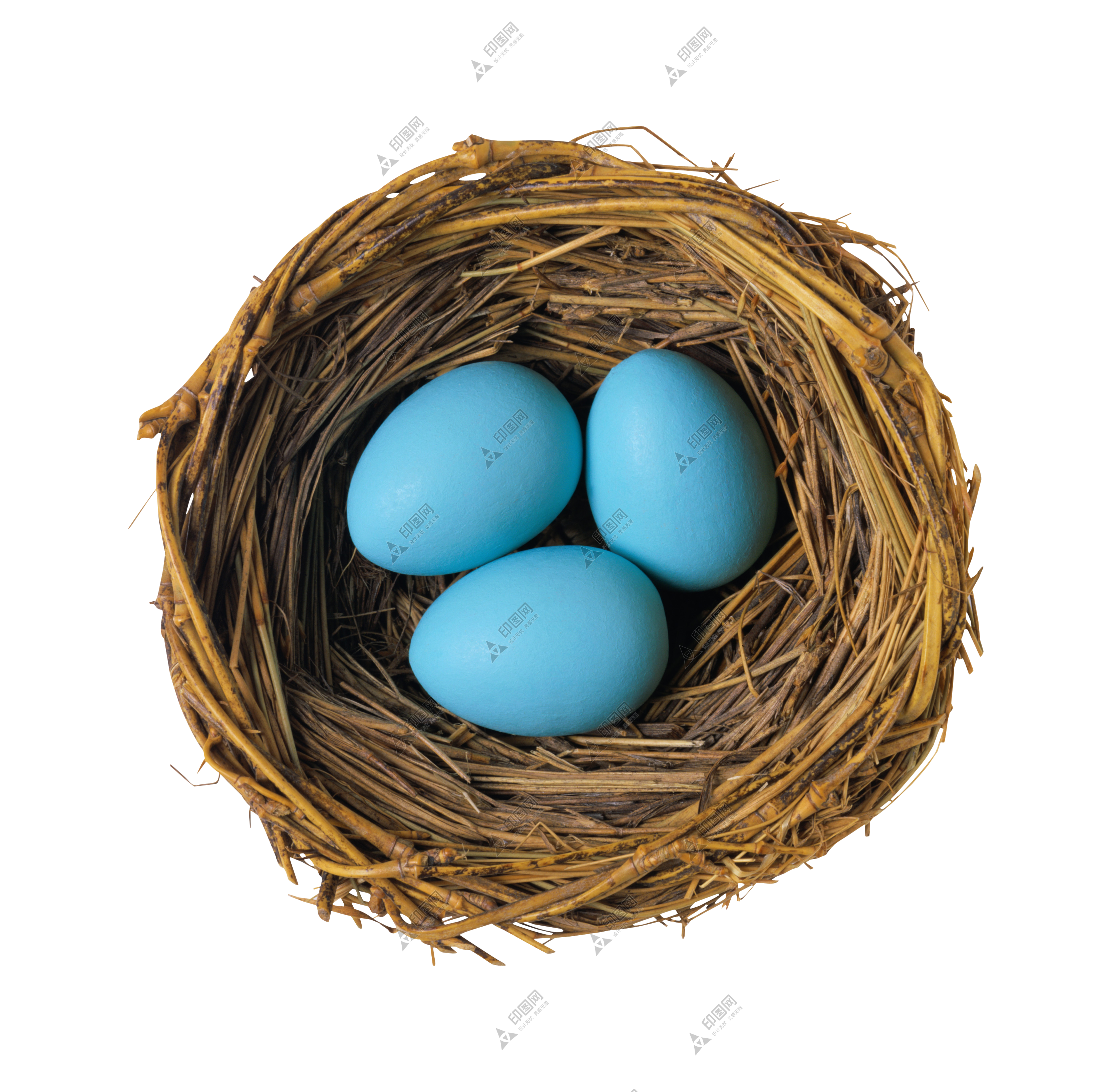 自然_鳥(niǎo)巢_鳥(niǎo)窩_巢穴_鳥(niǎo)蛋_nest_nest
