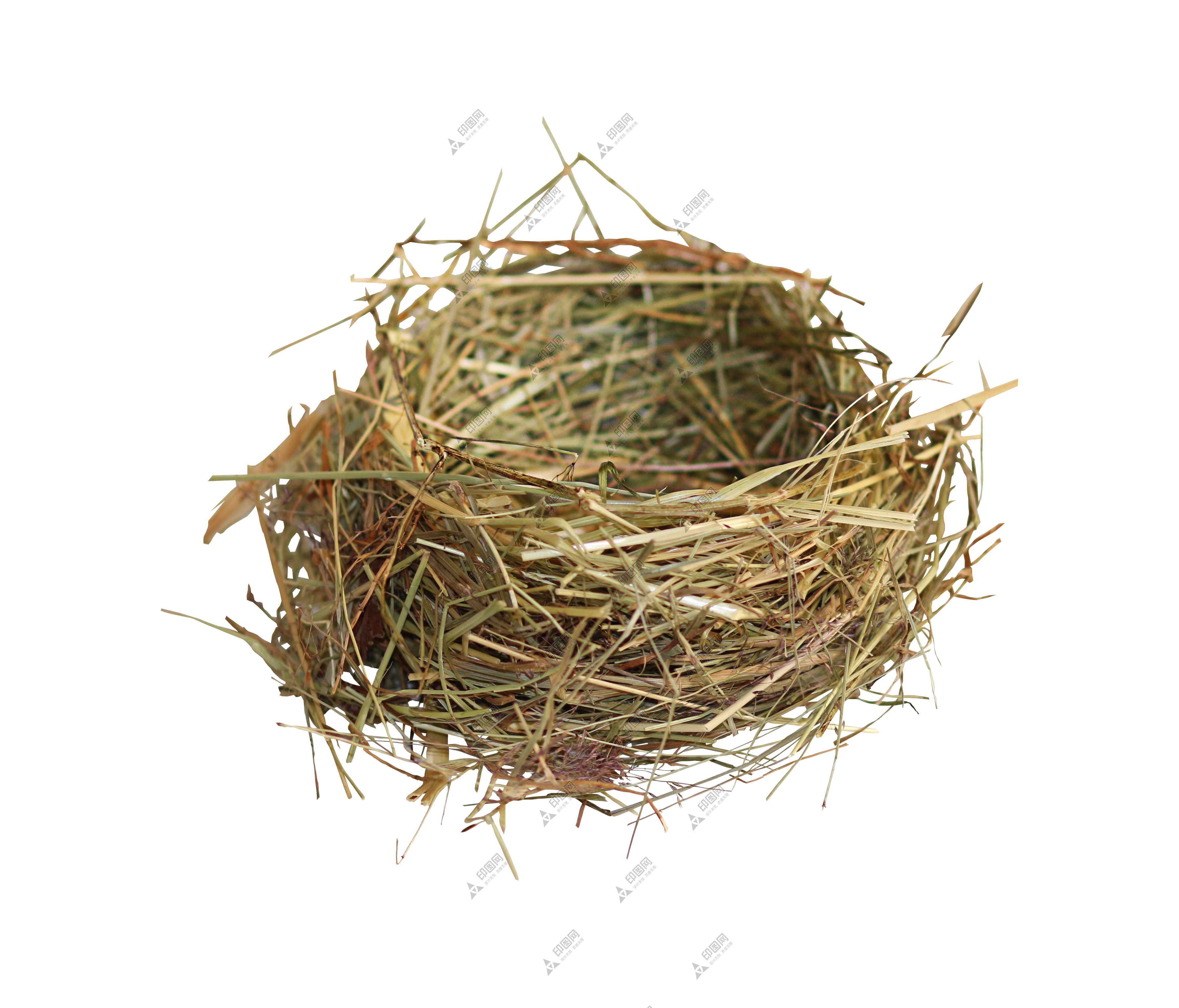 自然_鳥巢_鳥窩_巢穴_鳥蛋_nest_nest