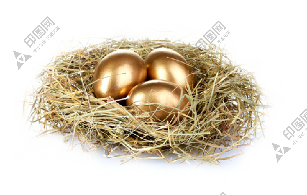 自然_鳥巢_鳥窩_巢穴_鳥蛋_nest_nest