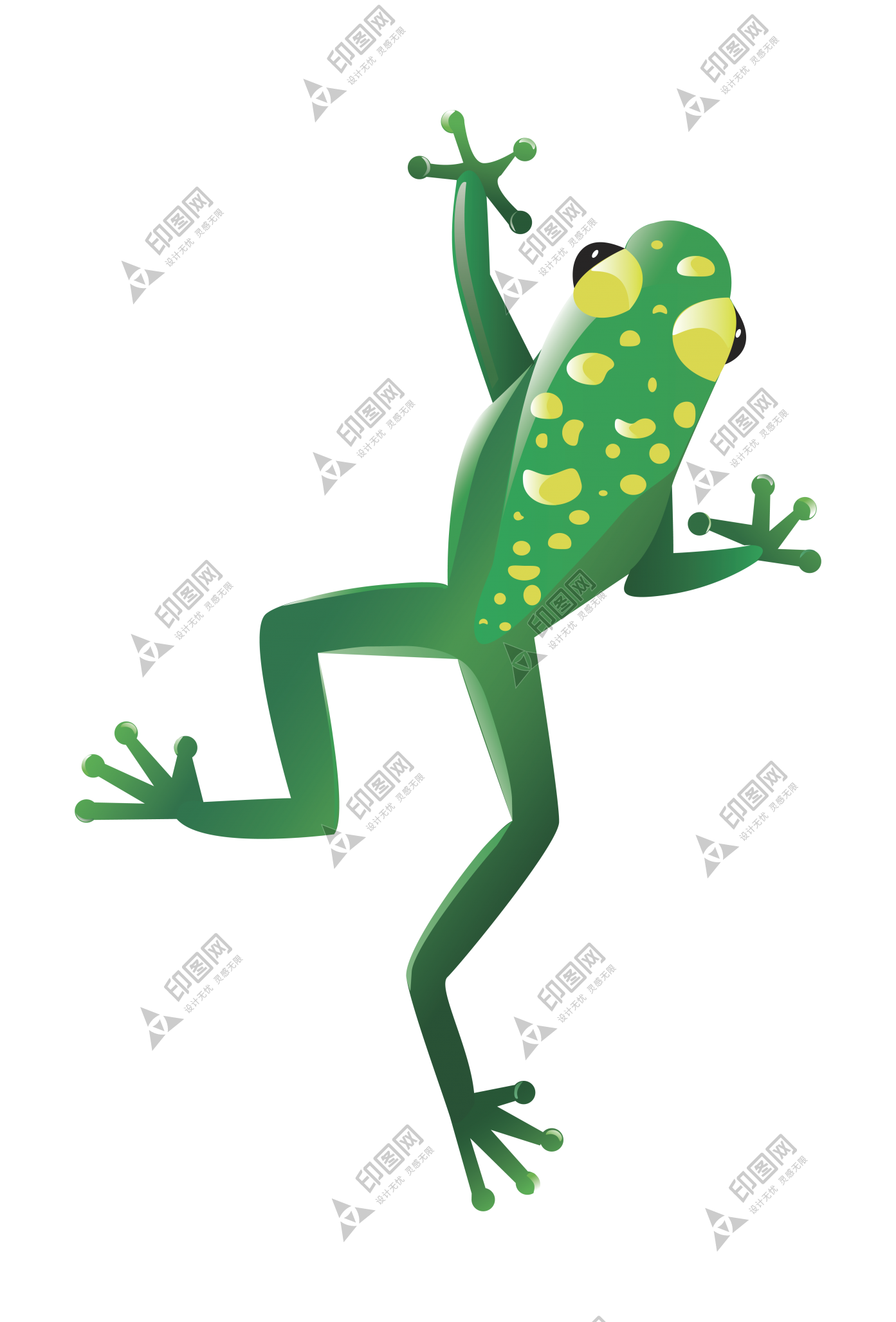 青蛙_蛙_frog_frog