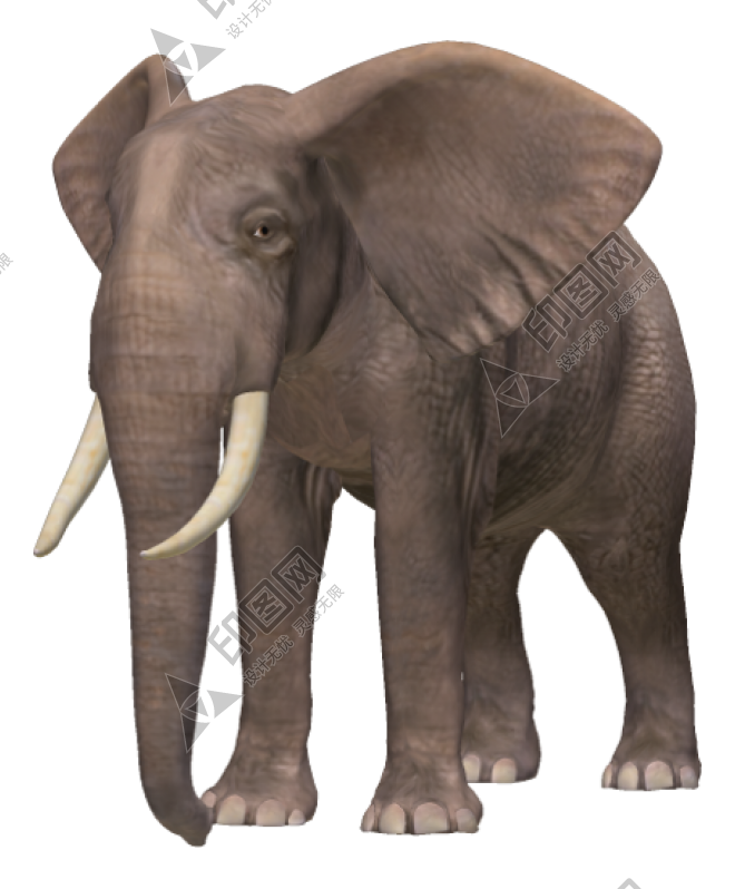 象_大象_elephants_elephants