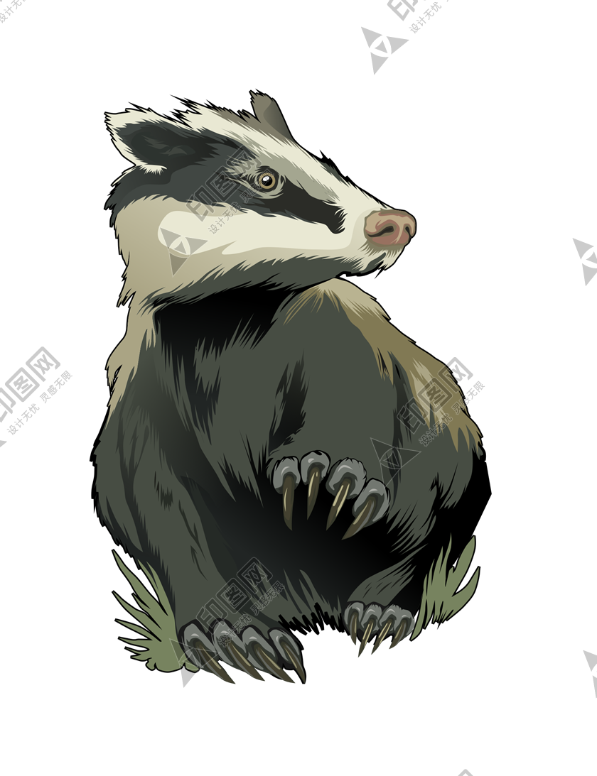 獾_badger_badger