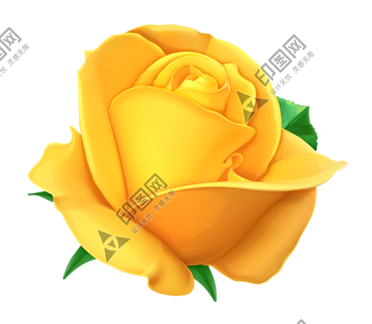 玫瑰_薔薇_花朵_花_玫瑰花_rose_rose
