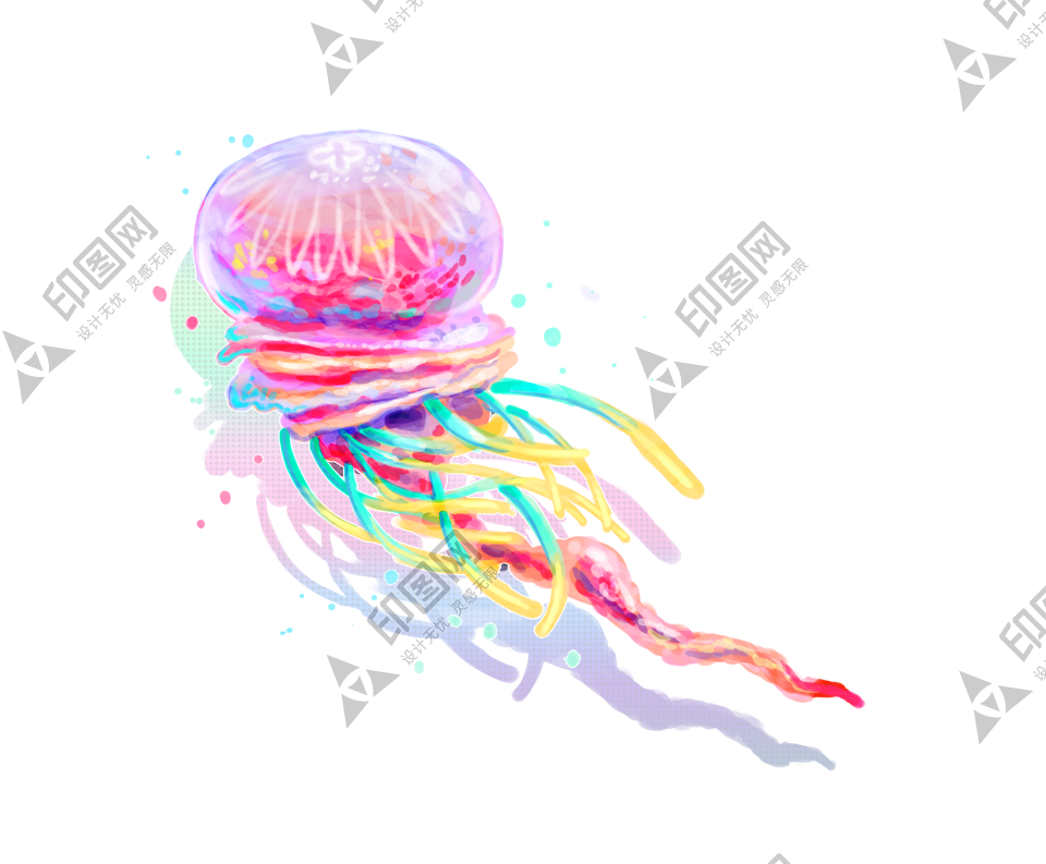 水母_海蜇_jellyfish_jellyfish