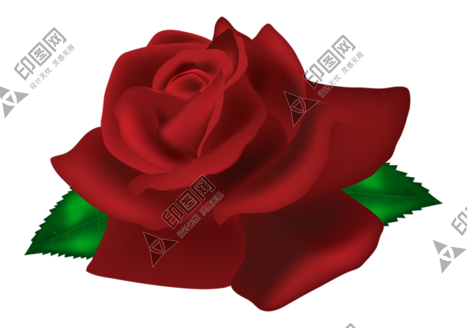 玫瑰_薔薇_花朵_花_玫瑰花_rose_rose