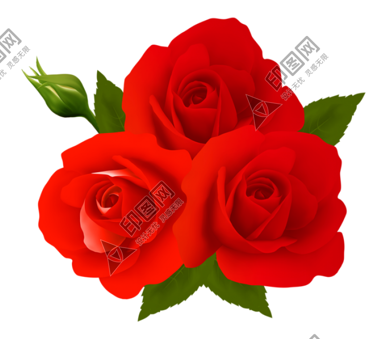 玫瑰_薔薇_花朵_花_玫瑰花_rose_rose