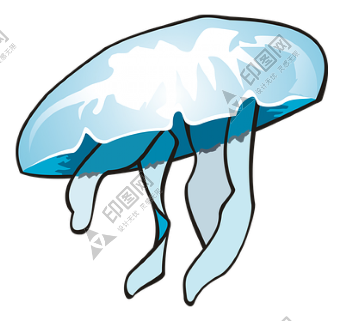 水母_海蜇_jellyfish_jellyfish