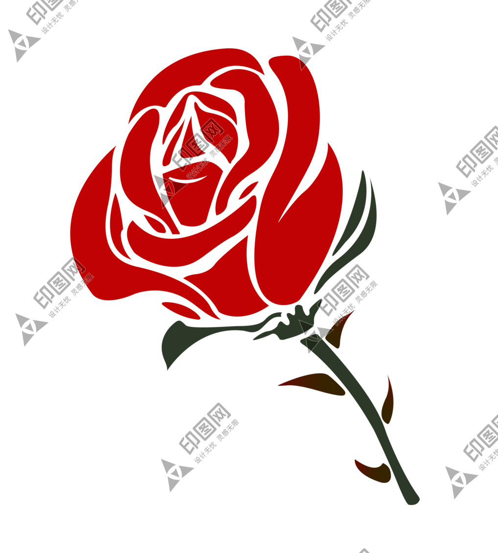 玫瑰_薔薇_花朵_花_玫瑰花_rose_rose