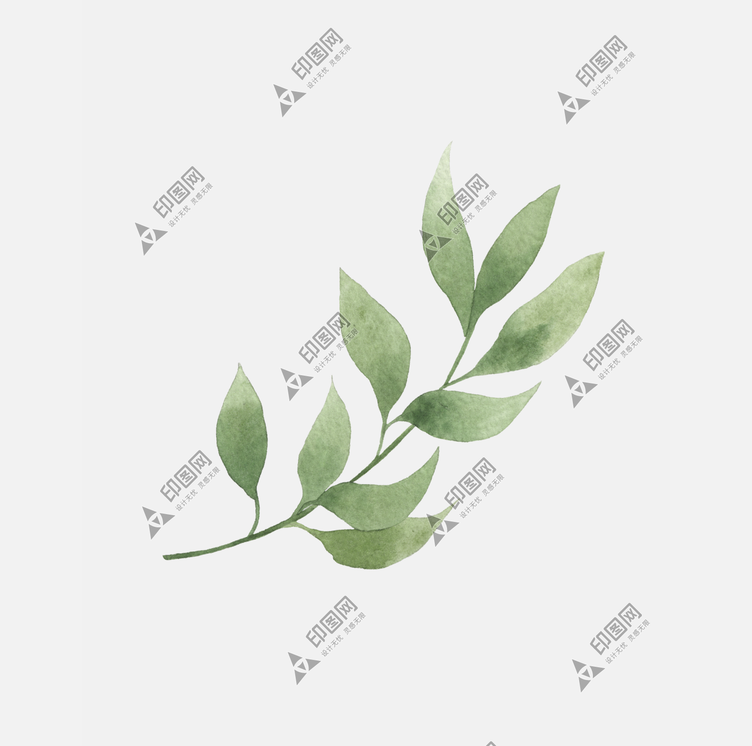 水彩畫水彩風(fēng)植物免摳元素