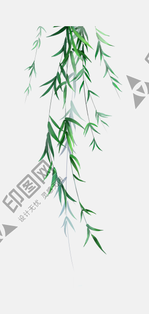 樹葉葉子png