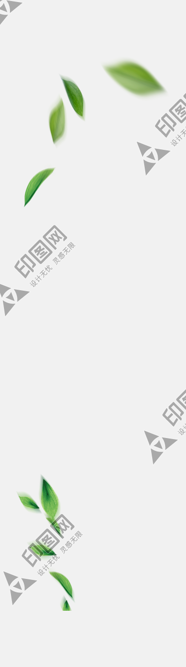 樹葉png 葉子png 綠葉