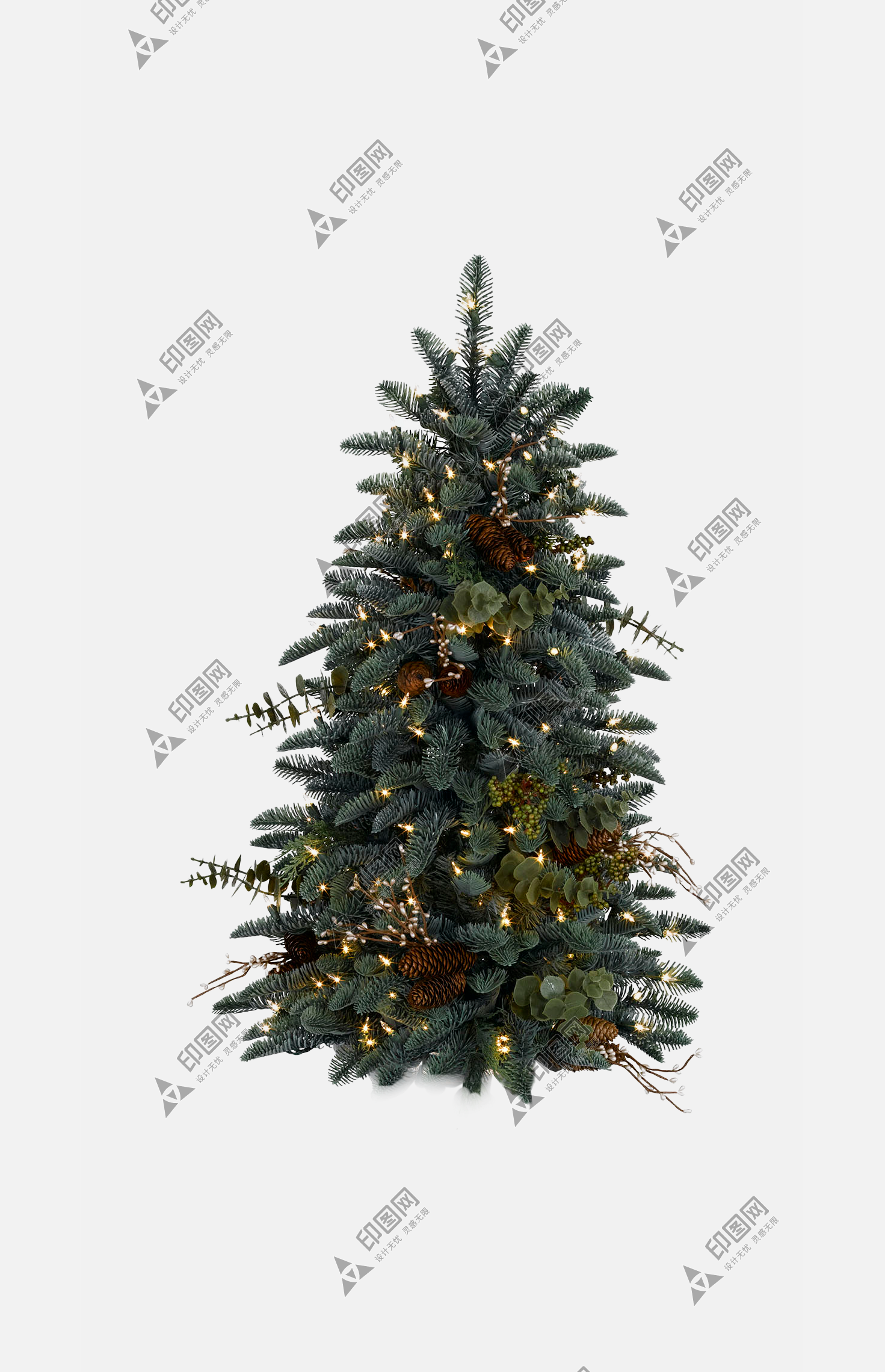 png圣誕節圣誕樹植物元素