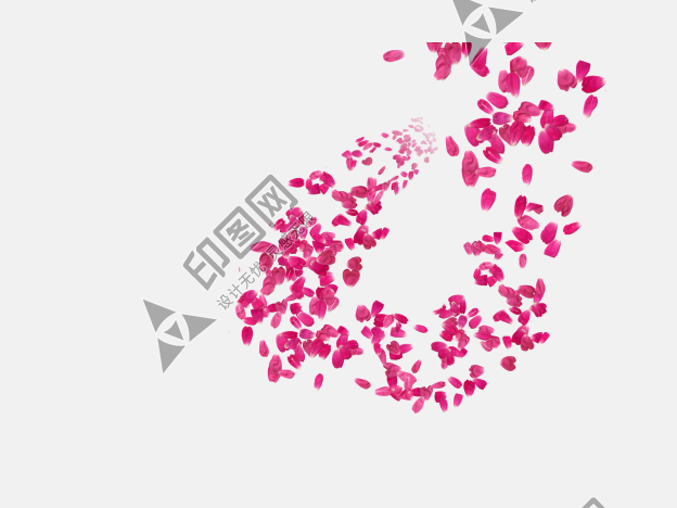 花瓣PNG素材