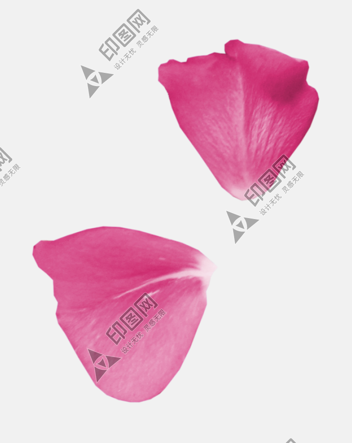 花瓣PNG素材
