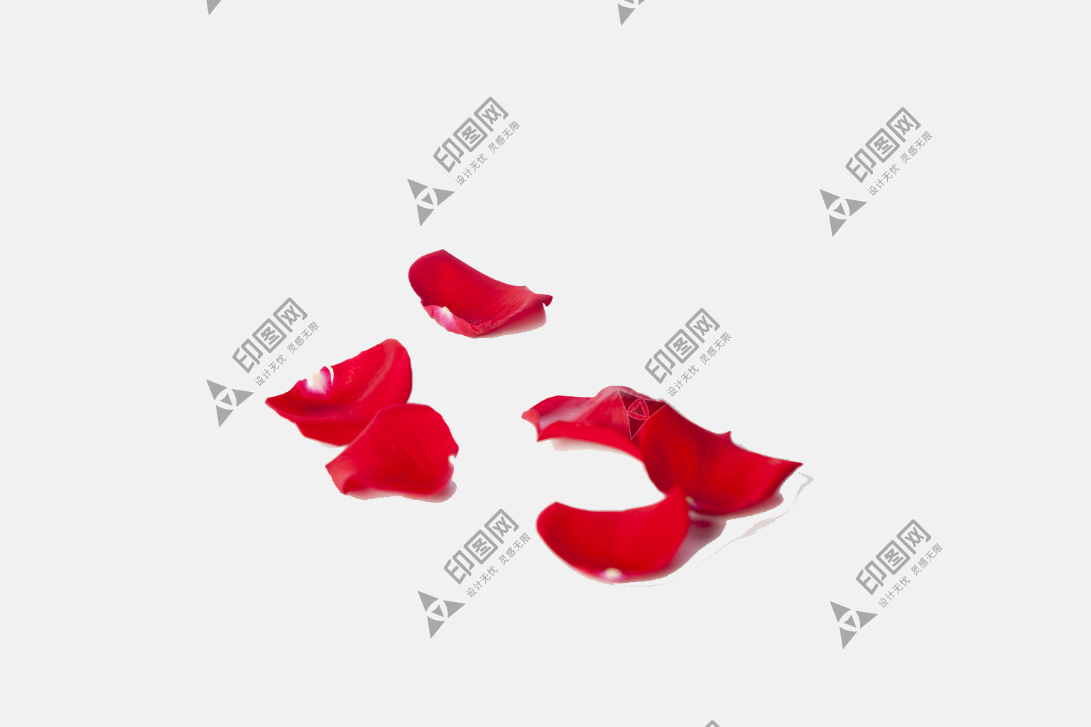 花瓣PNG素材