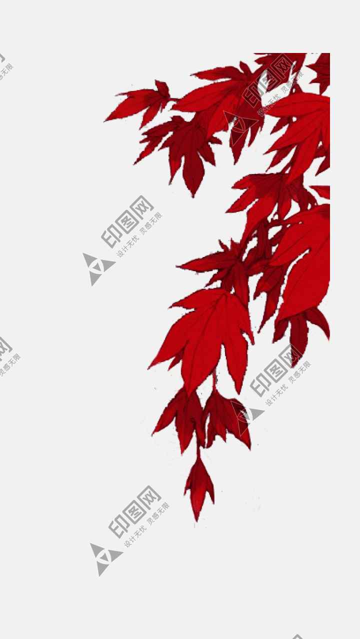 漂浮元素免摳png