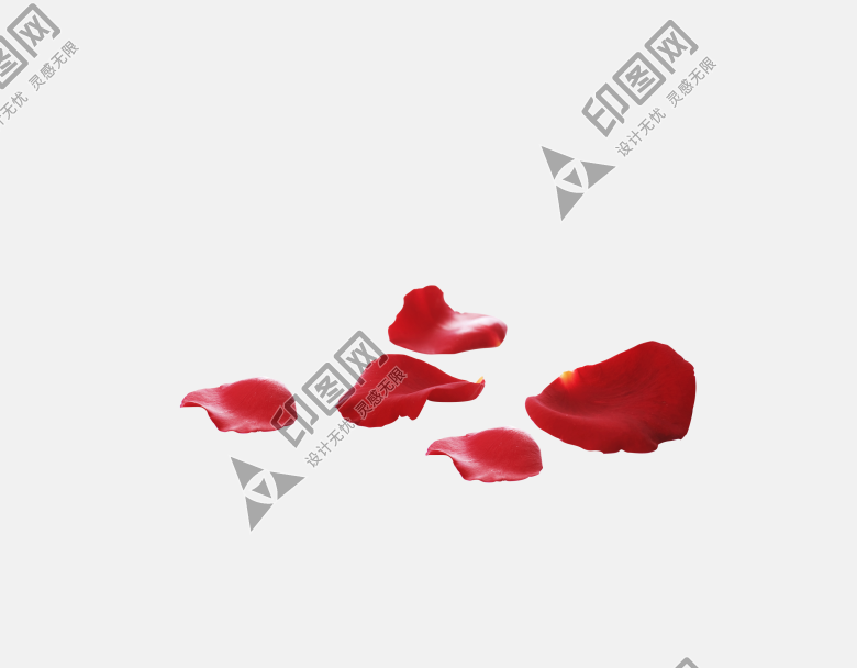 花瓣PNG素材
