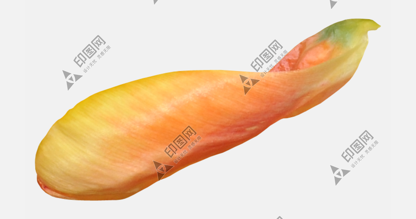 花瓣P(guān)NG素材